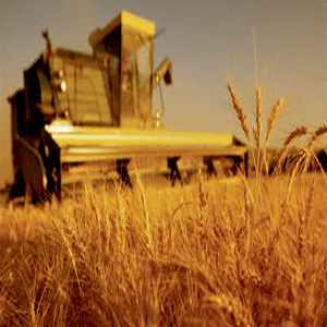 Биокотел Biotech