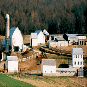 Биокотел Biotech